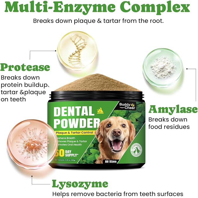Digestive & Skin Support Chews + Dental Care Powder - Probiotics with Enzymes for Gut Comfort & Itch Ease, Tartar Control & Fresh Breath for Dogs & Cats - 180 Chews + 150g Powder