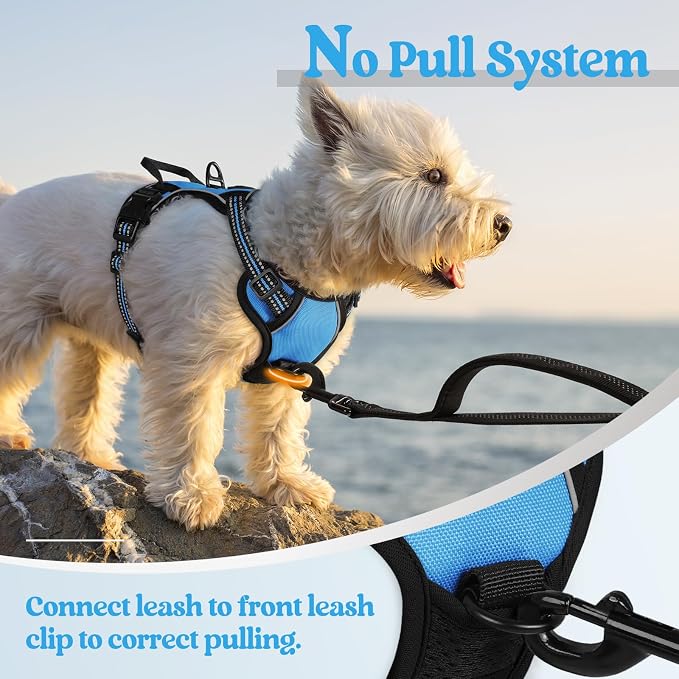 rabbitgoo Dog Harness, No Pull for Small Dogs with 2 Leash Clips, Pet Vest | No Choke with Handle, Adjustable Soft Padded, Reflective, Easy Control for Walking, Blue, X-Small