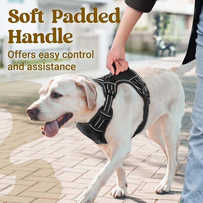 rabbitgoo Large Dog Harness, Easy Wear with 3 Buckles and Lift Handle | No Pull with Front Clip for Walking, Adjustable Soft Padded, Reflective, Easy Control, Black, X-Large