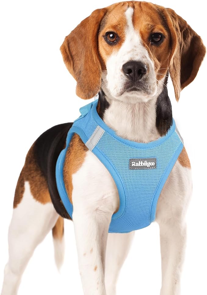 rabbitgoo Step-in Small Dog Harness, Puppy Vest for Small Medium Sized Pet | Easy Put on and off, Lightweight, Soft, Breathable Quick-Dry Air Mesh for Comfortable Secure Walking, Blue XL