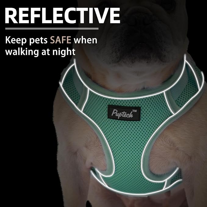 PUPTECK Small Dog Harness and Leash Set, No Pull Adjustable Puppy Cat Harness, Reflective Soft Mesh Pet Vest Small Sized, Green, L