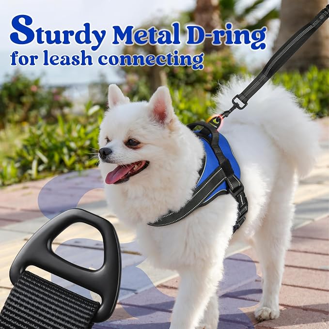 rabbitgoo No Pull No Choke Pet Vest, Adjustable Pet Harness with Molle | Small Sized Dog Harness, Reflective, Easy Wearing with One Buckle for Walking, Training, Blue, S