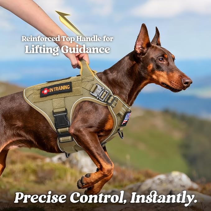 rabbitgoo Tactical Dog Harness for Small, Heavy Duty Military No Pull Vest | Sturdy Metal Buckles, 5 Adjustments, Molle System, Powerful Pullers for Training, Hunting, Outdoor, Brown Reflex, Small
