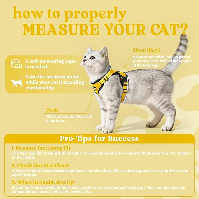 rabbitgoo Cat Harness and Leash Set, Escape Proof Vest, Yellow | Soft Breathable Mesh, Easy Adjustable Fit, Snap Buckles, Sturdy Clip, Reflective Strips, for Medium to Large Cats Walks, M