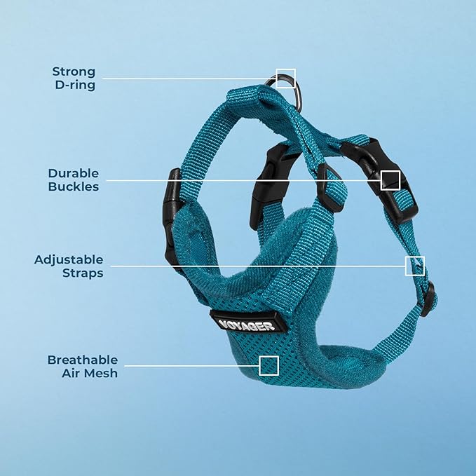 Voyager Step-in Lock Dog Harness - Turquoise, Large | 20 - 25" in Chest, Adjustable, Breathable Air Mesh, Lightweight for Daily Walks, Strong Clips, Heavy Duty D-Ring