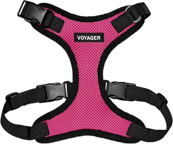 Voyager Step-in Lock Dog Harness - Fuchsia/Black Trim, Large | 20 - 25" in Chest, Adjustable, Breathable Air Mesh, Lightweight for Daily Walks, Strong Clips, Heavy Duty D-Ring