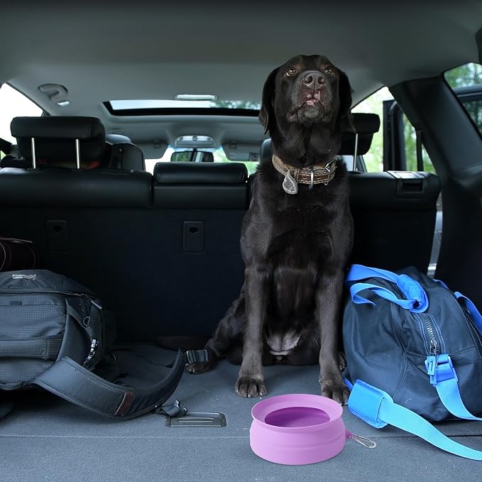SLSON Spill Proof Dog Water Bowl for Cars, Purple