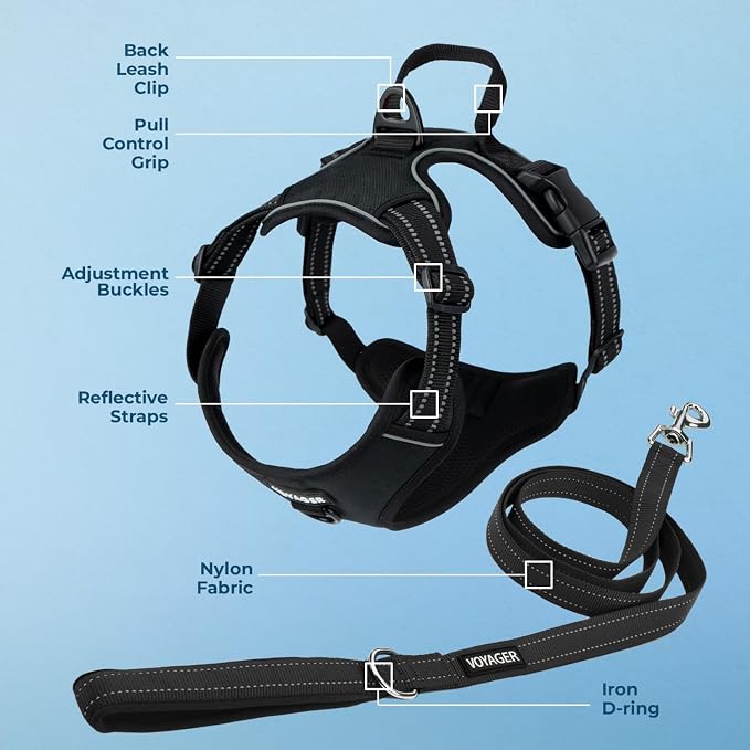 Voyager Dog Harness Dual Leash Attachment No-Pull Control Adjustable Soft but Strong Pet Harness for Medium and Large Dogs with 3M Reflective Technology, Leash Set Black Nylon, XL (Chest: 28-37")