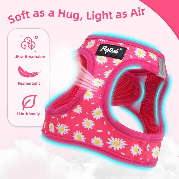 PUPTECK Dog Harness and Leash Set for Small Medium Dogs No Pull Step-in Soft Mesh Puppy Cat Vest Harnesses Reflective at Night, Fuchsia Daisy, S