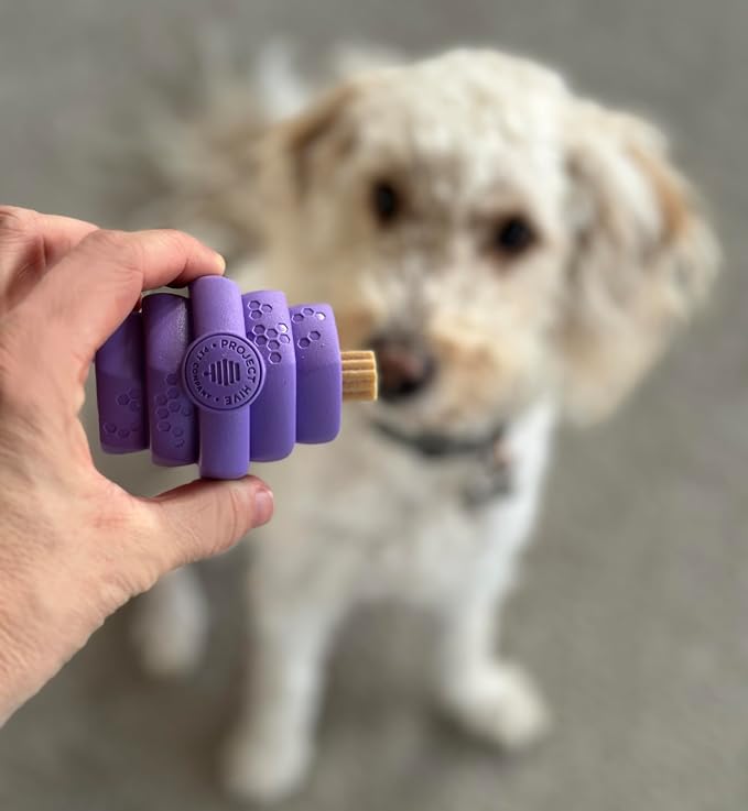 Hive Chew Toy for S/M Dogs – Purple/Calming Lavender Scent – Chew, Fetch, & Treat-Dispensing Enrichment Toy, Floats, Made in USA, Pairs with Hive Chew Sticks for S/M Dogs for Longer-Lasting Play