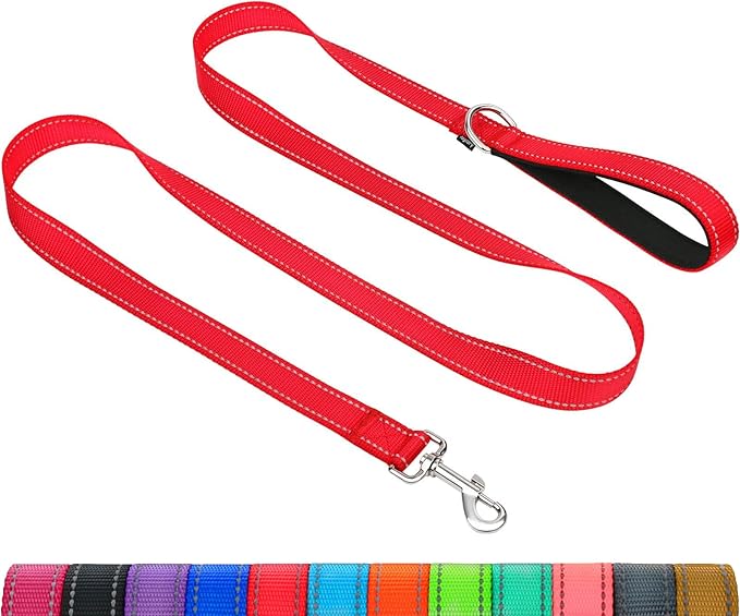 Taglory Reflective Dog Leash for Small Dogs, 3/4in x 6ft, Red | Ideal for Night Walking, Strong for Sudden Pulls, Lightweight & Gentle on the Neck, Soft Padded Handle