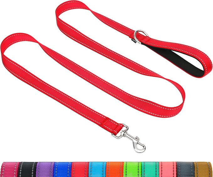 Taglory Reflective Dog Leash for Medium Large Dogs, 1in x 5ft, Red | Ideal for Night Walking, Strong for Sudden Pulls, Lightweight & Gentle on the Neck, Soft Padded Handle