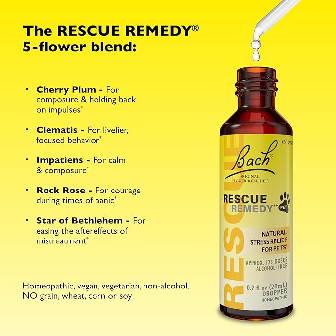 Bach Rescue Remedy Pet Dropper - 20mL, Pack of 2 - Stress & Tension Support for Dogs & Cats Natural Flower Essences - Sedative-Free, Homeopathic Liquid Formula - for All Breeds, Ages & Weights