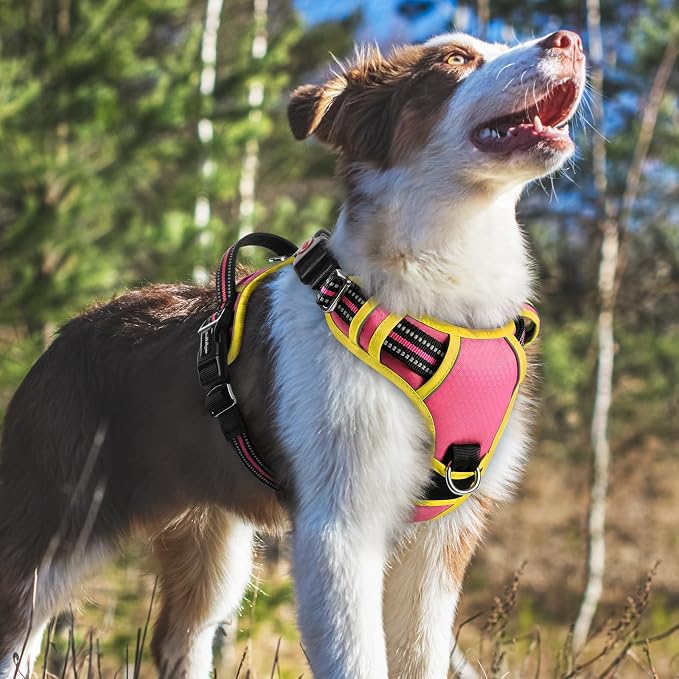 rabbitgoo Dog Harness Medium Sized, No Pull 3 Buckles Easy On & Off | Soft Padded, Walking with Control Handle, Adjustable and Reflective, Pink & Yellow, Medium