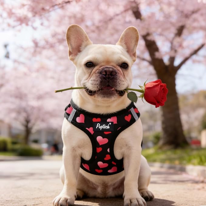 PUPTECK Dog Harness and Leash Set for Small Medium Dogs No Pull Step-in Soft Mesh Puppy Cat Vest Valentine Harnesses Reflective at Night, Black&Pink Heart, XS