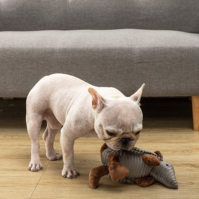 Hollypet Armadillo Squeaky Puppy Dog Toys for Small Medium Dogs, 8" | plush stuffed small dog squeak animal toy with unique grunt squeaker textured fabric for teeth cleaning toys