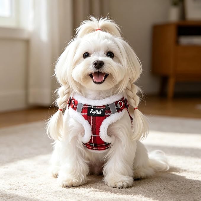 PUPTECK Dog Harness and Leash Set Small Sized, Step in No Pull Adjustable Puppy Cat Harness Reflective Pet Vest