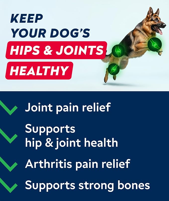 Glucosamine Treats for Dogs - Joint Supplement w/ Omega-3 Fish Oil - Chondroitin, MSM - Advanced Mobility Chews - Joint Pain Relief - Hip & Joint Care - Peanut Butter Flavor - 180 Ct - Made in USA