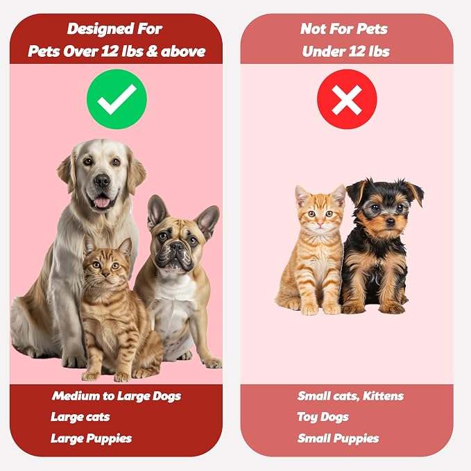 Pet Toothbrush for Dogs, Cats with Soft Bristles - Easy Teeth Cleaning & Dental Care, Non Slip Dual Head Dog Toothbrush for Medium & Large Pets, Toothpaste Not Included, Pack of 2 Red
