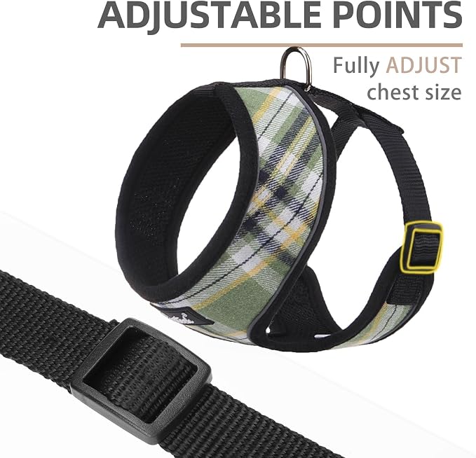 PUPTECK Soft Mesh Dog Harness and Leash Set Pet Puppy Cat Comfort Padded Vest No Pull Harnesses, Green/Yellow, XS