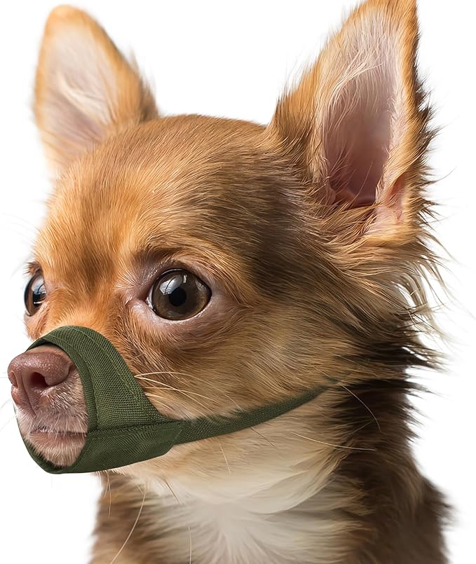 Fabric Dog Muzzle for Short Snout Small Dogs Chihuahuas Anti-Bite | Fits Shih Tzu Pomeranian Yorkshire Brachycephalic Dog, Grooming Vet Visits Walking Use, Prevent Chewing, Soft | Green, XXS