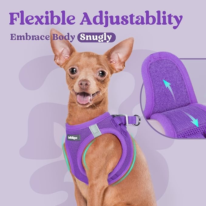 rabbitgoo Step-in Small Dog Harness, Puppy Vest for Small Sized Pet | Easy Put on and off, Lightweight, Soft, Breathable Quick-Dry Air Mesh for Comfortable Secure Walking, Purple XS