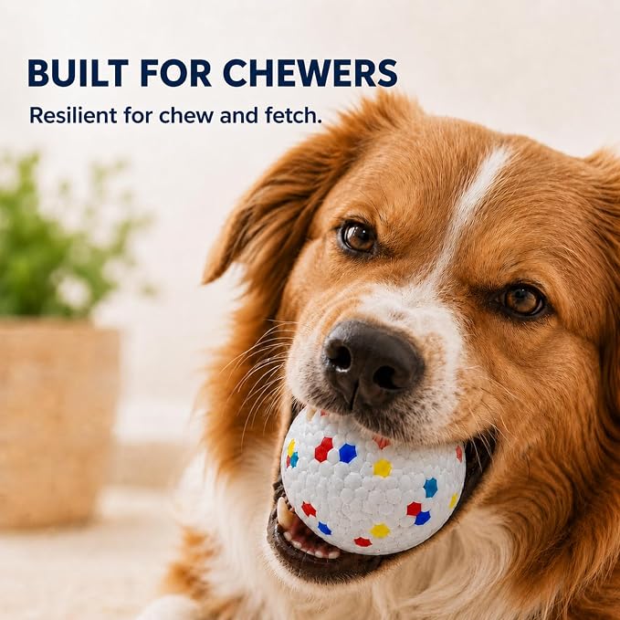 Dog Tennis Ball Toys for Aggressive Chewers, Floating, 2-Pack