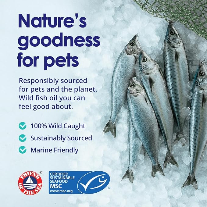 Pure Omega 3 Fish Oil for Dogs, Wild Caught from Iceland, Skin and Coat Supplement for Shedding, Dry Itchy Skin and Allergies, Rich in EPA + DHA with Omega 3, 6 & 9 Fatty Acids, 1000mg, 180 Capsules