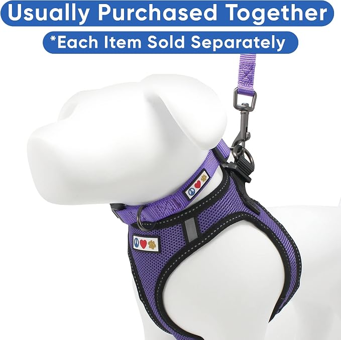 Pawtitas Dog Vest Harness Made with Breathable Air Mesh | All Weather Vest Harness for Small Puppies and Large Cats with Quick-Release Buckle - Small Purple Mesh Dog Harness