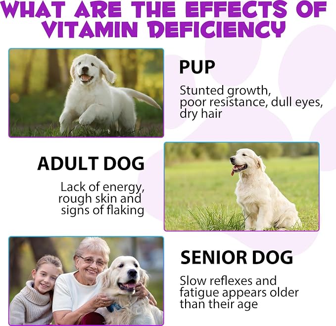 15-in-1 Dog Multivitamin Drops, Liquid Multivitamin Drops for Dogs, 2 oz | with Glucosamine, MSM & Omega for Joint, Heart, Immune & Skin Health, Easy Liquid Drops for Picky Eaters, All Ages, Breeds