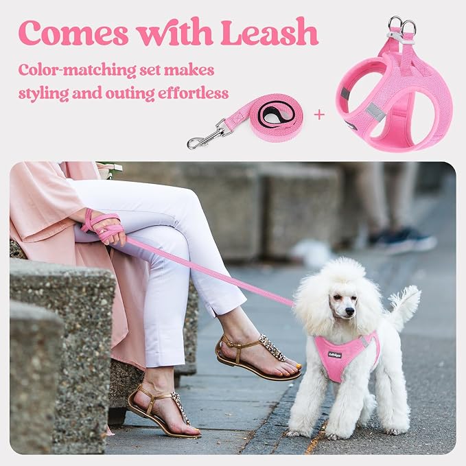 rabbitgoo Dog Harness Medium Sized and Leash Set, Step-in Puppy Pet Vest | Light, Soft, Breathable Air Mesh, Easy on and Remove with Hook & Loop, Secure Reflective for Walking, Light Pink L