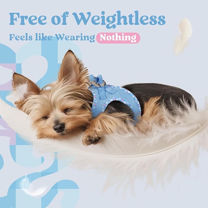 rabbitgoo Step-in Small Dog Harness, Puppy Vest for Small Medium Sized Pet | Easy Put on and off, Lightweight, Soft, Breathable Quick-Dry Air Mesh for Comfortable Secure Walking, Blue & Plaid Trim L