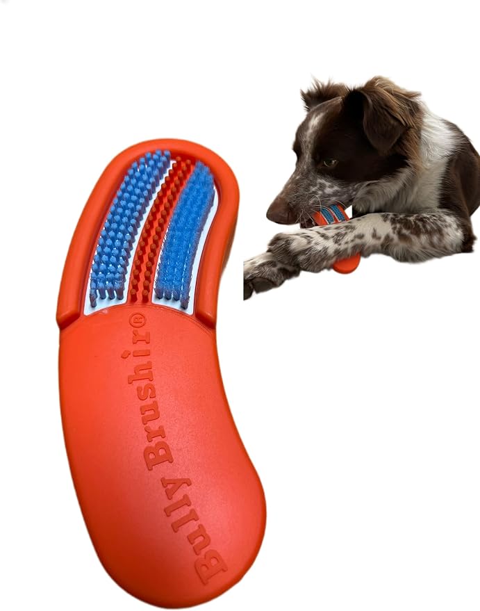 Bully Brushir Dog Toothbrush Oral Care Dental Care Teeth Cleaning … (Small for Dogs 10 to 48 lbs)