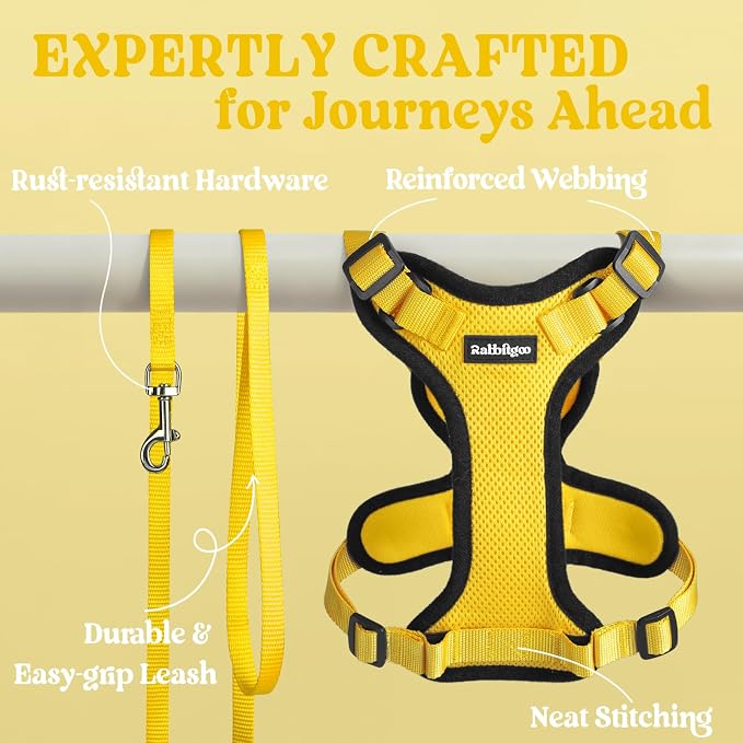rabbitgoo Cat Harness and Leash Set, Escape Proof Vest, Yellow | Soft Breathable Mesh, Easy Adjustable Fit, Snap Buckles, Sturdy Clip, Reflective Strips, for Medium to Large Cats Walks, M