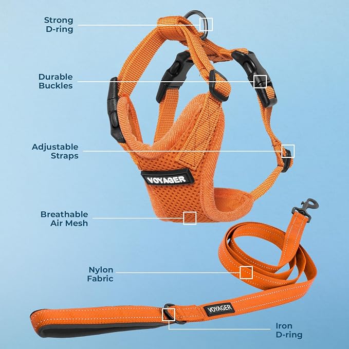 Best Pet Supplies Voyager Step-in Lock Pet Harness w Reflective Pet Leash Combo Set with Neoprene Handle 5ft - Supports Small, Medium and Large Breed Puppies/Cats - Orange Set, XL
