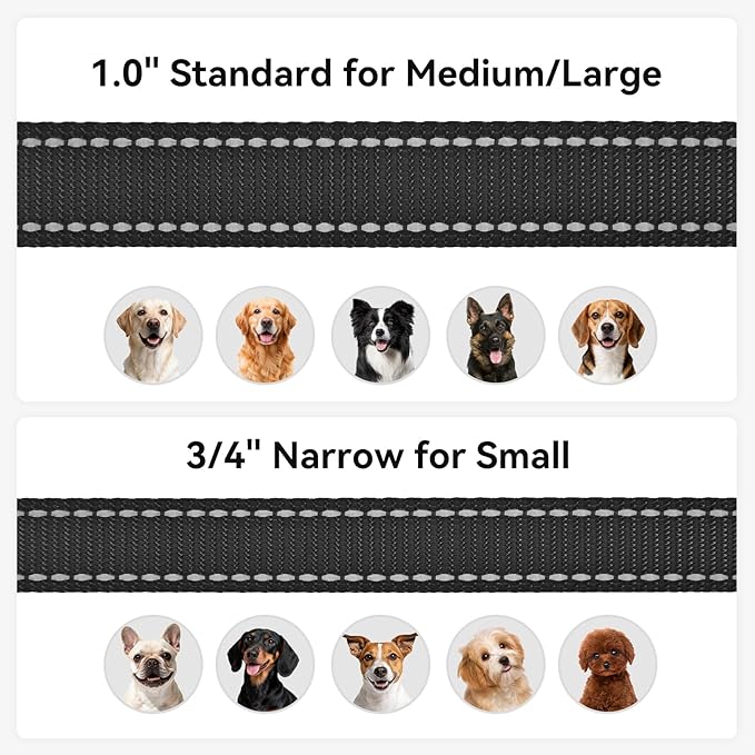 Joytale Reflective Dog Leash for Medium & Large Dogs, 5 FT x 1", Black | Heavy Duty Nylon Webbing, Padded Handle for Comfort, Visible at Night, for Walking & Training