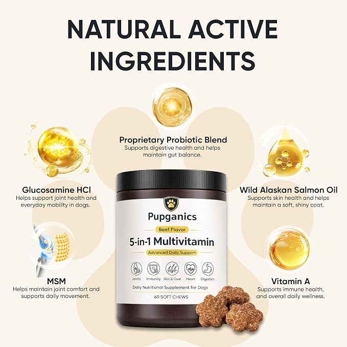 Pupganics Multivitamin Daily Soft Chews for Dogs, Pupganics 5 in 1 Multivitamin, Vitamin & Probiotics for Skin & Hair, Heart Health, Immune Support, Beef Flavor, 60 Soft Chews (1 PCS)