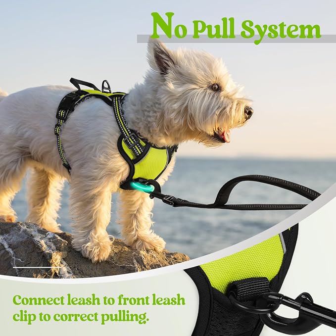 rabbitgoo Dog Harness No Pull with 2 Leash Clips, Adjustable Soft Padded, Reflective Oxford No Choke Pet Vest with Easy Control Handle for Puppy, Green, XS | No Choke with Handle, Adjustable Soft Padded, Reflective, Easy Control for Walking, Wild Lime,...