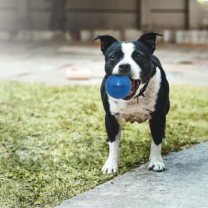 Dog Balls Indestructible, Solid Rubber Bouncy, Large Breed