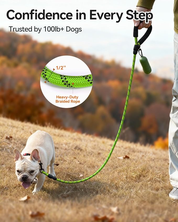 Joytale Rope Dog Leash for Small Dogs, Padded Handle, 6FT, Green | Reinforced Nylon Webbing, Comfort Grip Eases Hand Strain, Swivel Clip Prevents Tangles, Visible at Night, for Outdoor Walks