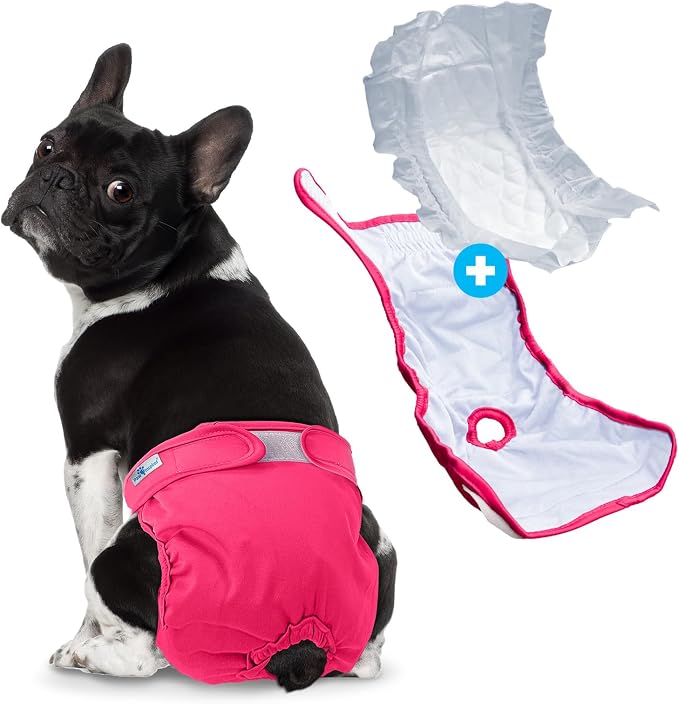 Paw Inspired Reusable Washable Dog Diapers (Pack of 3) in Assorted Colors with White Lining and Dog Diaper Suspenders in Black Combo Pack (X-Small)