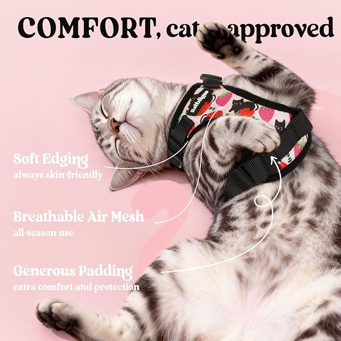 rabbitgoo Cat Harness and Leash Set, Escape Proof Vest, Berry Pounce | Soft Breathable Mesh, Easy Adjustable Fit, Snap Buckles, Sturdy Clip, Reflective Strips, for Kittens & Small Cats Walks, Xxs
