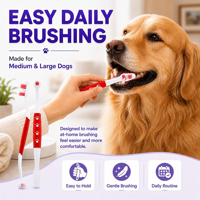 Dog Toothbrush, Dual-Head, for Medium-Large Dogs,Red | Soft Bristles for Gentle Cleaning, 60° Curved Bristles for Better Coverage, Comfortable for Sensitive Gums