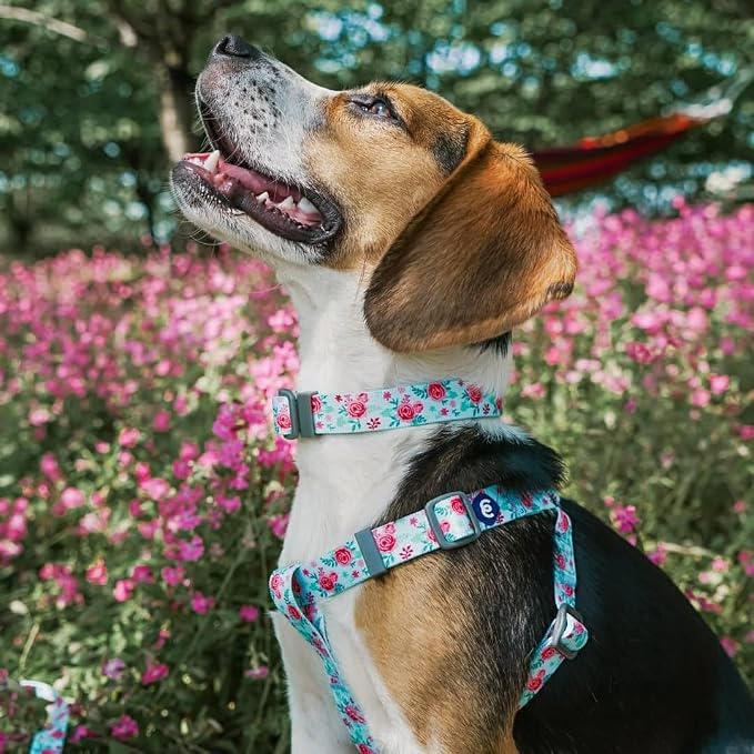 Blueberry Pet Essentials Spring Scent Inspired Garden Floral Dog Leash in Pastel Blue, 5 ft x 3/4", Medium, Leashes for Dogs