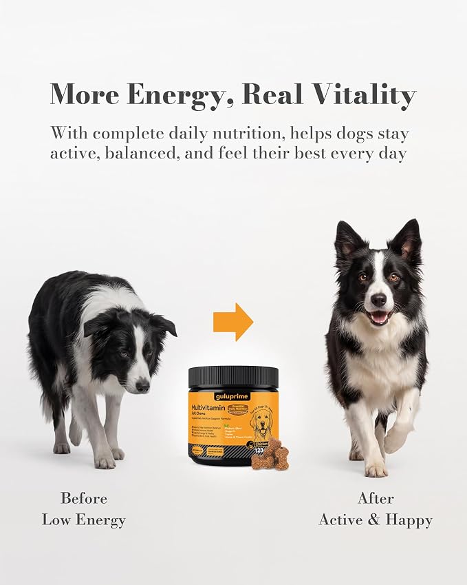 Dog Multivitamin Soft Chews, Daily Vitamins for Dogs, 120 Count | Dog Vitamins & Minerals for Heart & Vision Support, 23 Active Ingredients with CoQ10, Taurine, Lutein & Omega-3 Fish Oil