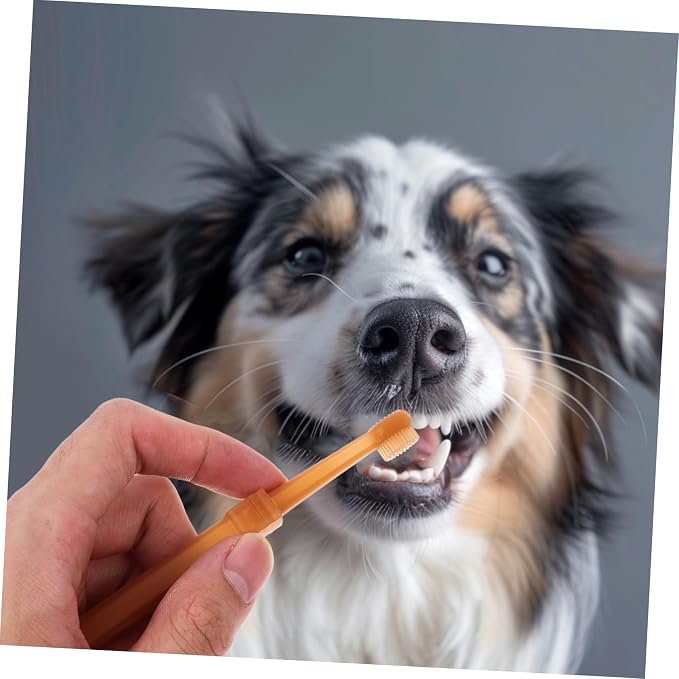 Healifty Silicone Cat and Small Dog Toothbrush Kit with Dual Head Design Portable Pet Dental Brush for Plaque Removal and Oral Health Care Suitable for Puppies and Cats