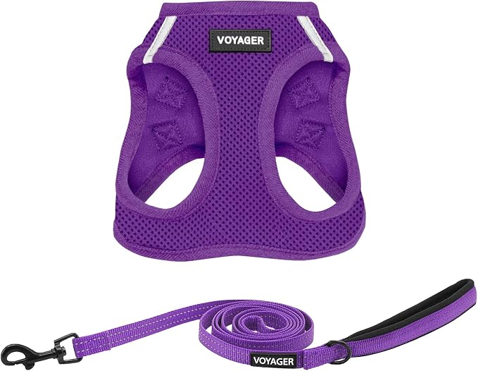 Best Pet Supplies Voyager Step-in Air All Weather Mesh Harness and Reflective Dog 5ft Leash Combo with Neoprene Handle, for Small, Medium and Large Breed Puppies - Purple, Large