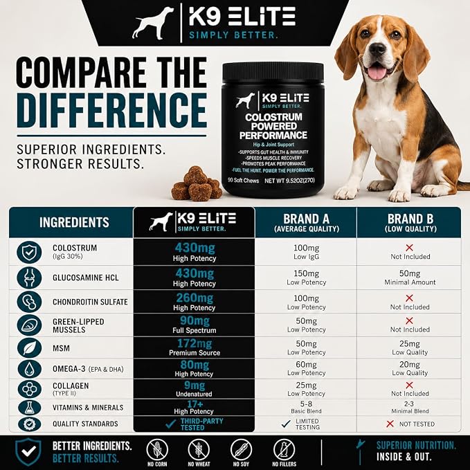 Hip & Joint Supplement for Dogs | Glucosamine, Chondroitin, Green Lipped Mussel, Colostrum, Collagen & Omega-3 | Daily Wellness, Mobility, Gut & Immune Support |