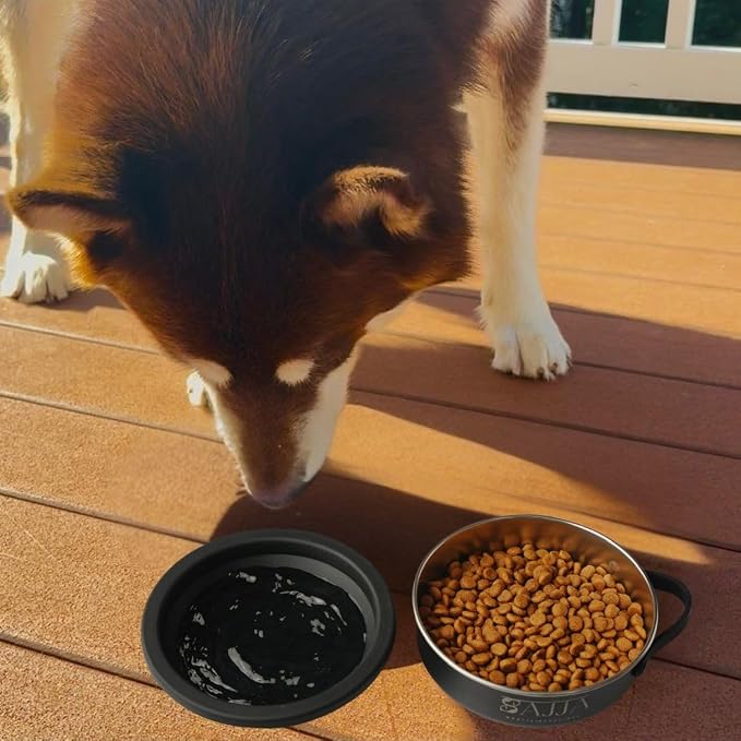 3-in-1 Travel Dog & Cat Bowl, Stainless Steel & Silicone