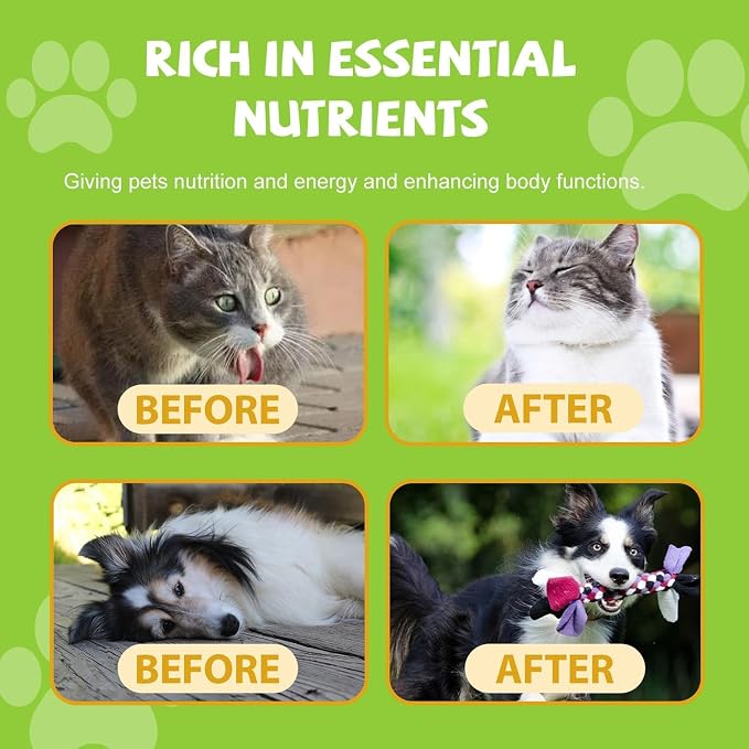 Dog Multivitamin Liquid Drops (60ml) – Multivitamins for Indoor Cats – Vitamin C, Vitamin D & B1, Dog Health Supplements for Skin Care, Joints & Hips